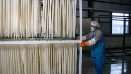 稅務賦能，非遺“活”起來 延邊稅務助力非物質文化遺產傳承與發展